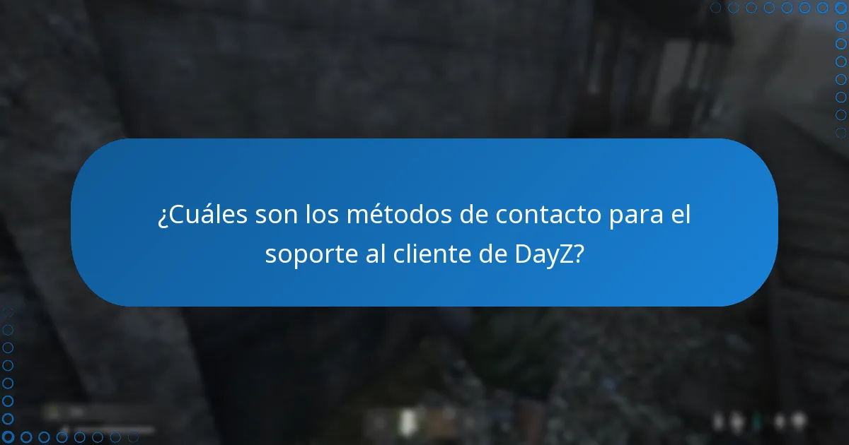 ¿Dónde puedo encontrar soporte oficial para problemas de DLC de DayZ?
